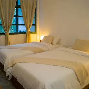 https://big-tree-boutique-hotel-koh-tao.tophotelskohtao.com